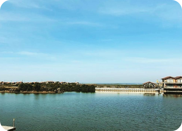 restaurant GUJAN-MESTRAS - restaurant port de larros gujan mestras - restaurant poisson gujan mestras -restaurant l escalumade gujan mestras - Restaurant l escalumade gujan mestras